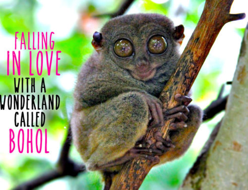 Falling in Love with the Wonderland Called BOHOL (Philippines)